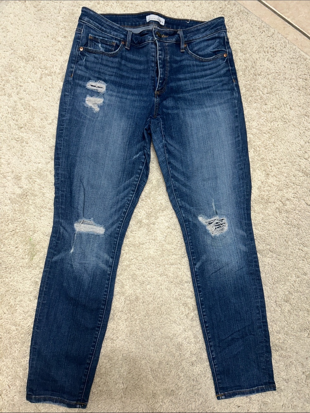 LOFT Women's Dark Blue Distressed Skinny Jeans